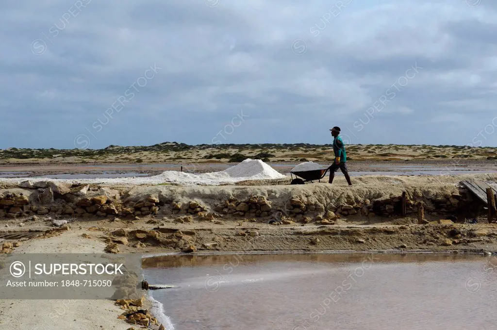 Worker at the saltworks, Santa Maria, Sal, Cape Verde, Africa