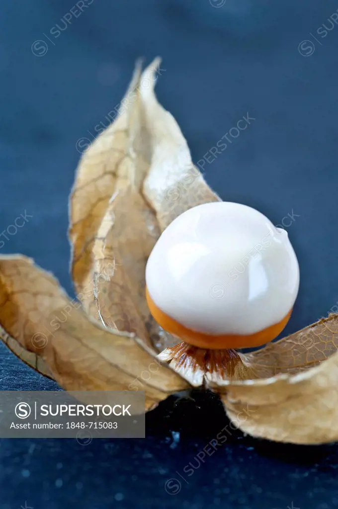 Physalis covered with white chocolate