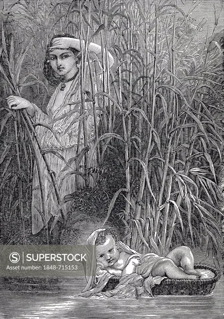 Moses is put in a reed basket on the Nile, historic engraving from 19th Century, from book of I Solskin Hjemmet, Ung og Gammel, Battle Creek, Michigan...