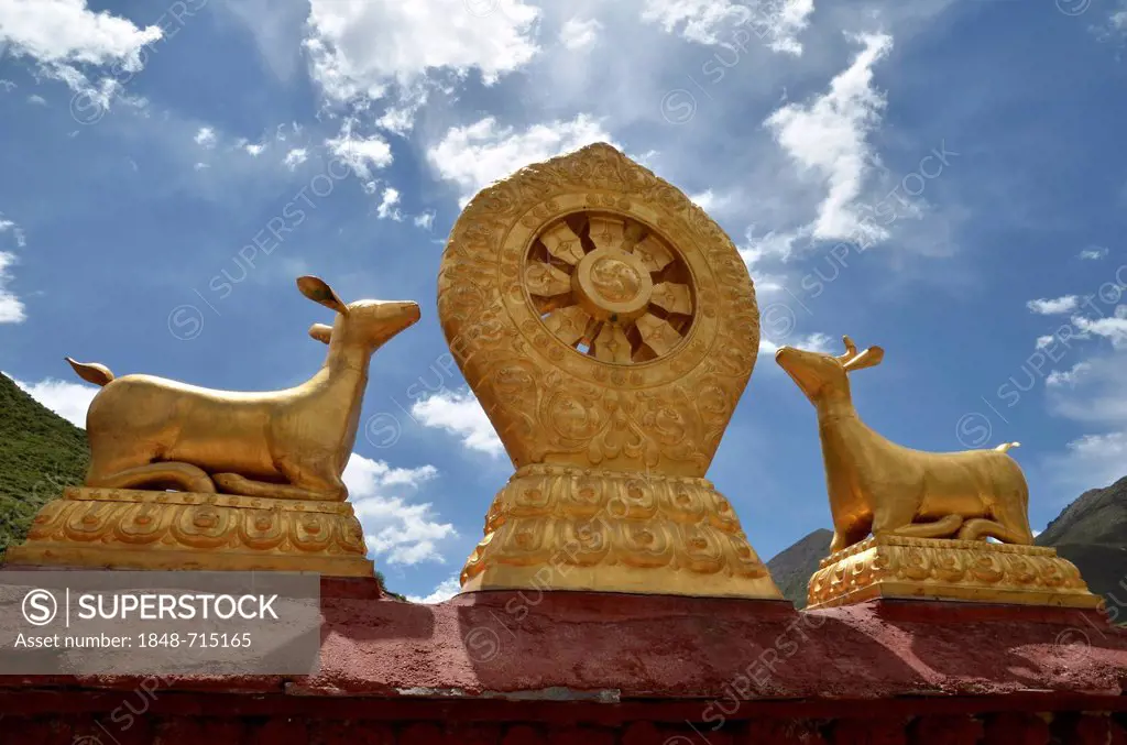 Tibetan Buddhism, Dharma wheel with two golden antelopes, Terdrom Nunnery, Terdrom, Tidro Gompa, Himalayas, Lhundrup district, central Tibet, Tibet, C...
