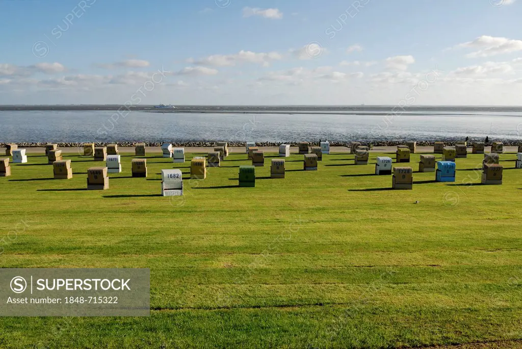 Roofed wicker beach chairs standing on a lawn, beach, Buesum, district of Dithmarschen, Schleswig-Holstein, North Sea, Wadden Sea, Germany, Europe, Pu...