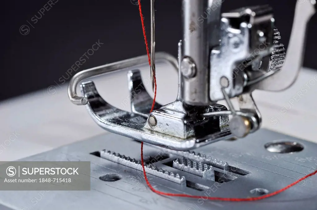 Sewing machine with presser foot and needle plate