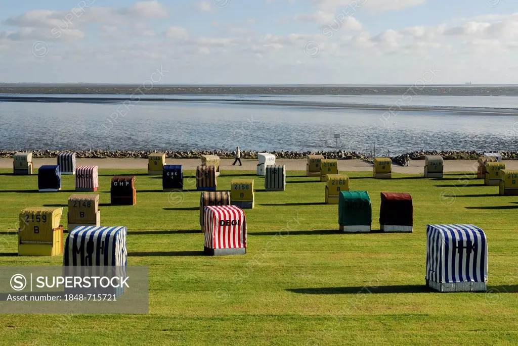 Roofed wicker beach chairs standing on a lawn, beach, Buesum, district of Dithmarschen, Schleswig-Holstein, North Sea, Wadden Sea, Germany, Europe, Pu...