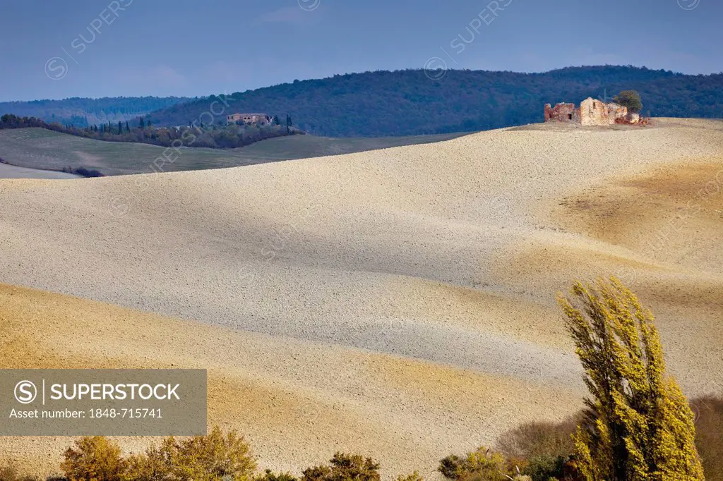 Fields above Pienza near Torrita di Siena in autumn, Tuscany, Italy, Europe
