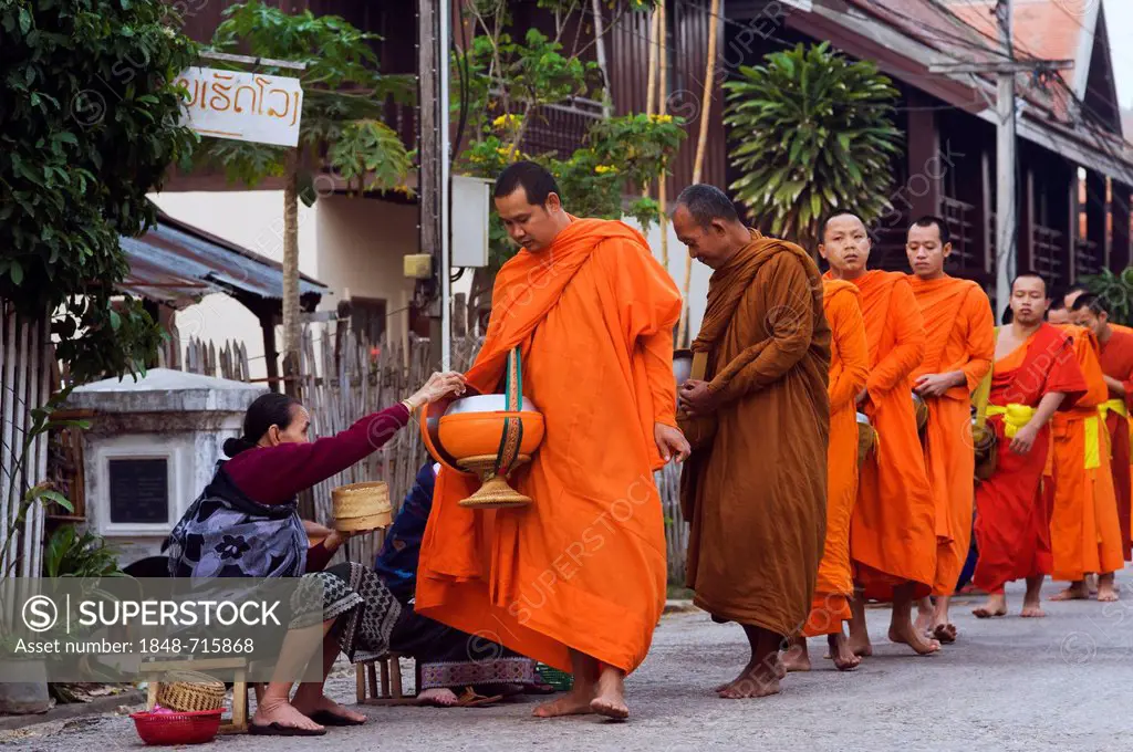 Monks on their morning alms round, Luang Prabang, Laos, Indochina, Asia