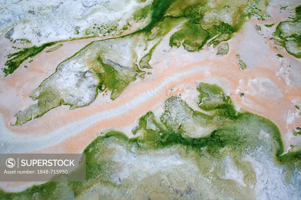 Detail of structures that are formed by coloured minerals, algae and water in the geothermal area of Hveravellir, Iceland, Europe