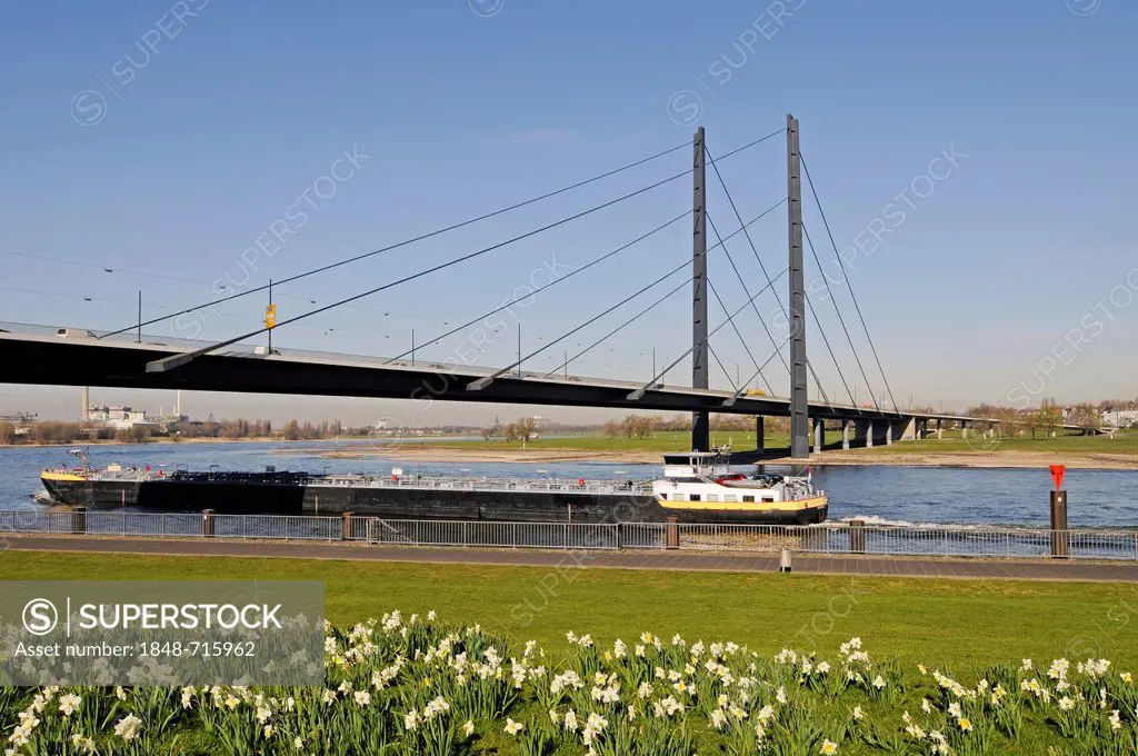 Rheinkniebruecke bridge, cargo ship, Rhine River, Rheinpromenade, Rhine promenade, Duesseldorf, North Rhine-Westphalia, Germany, Europe