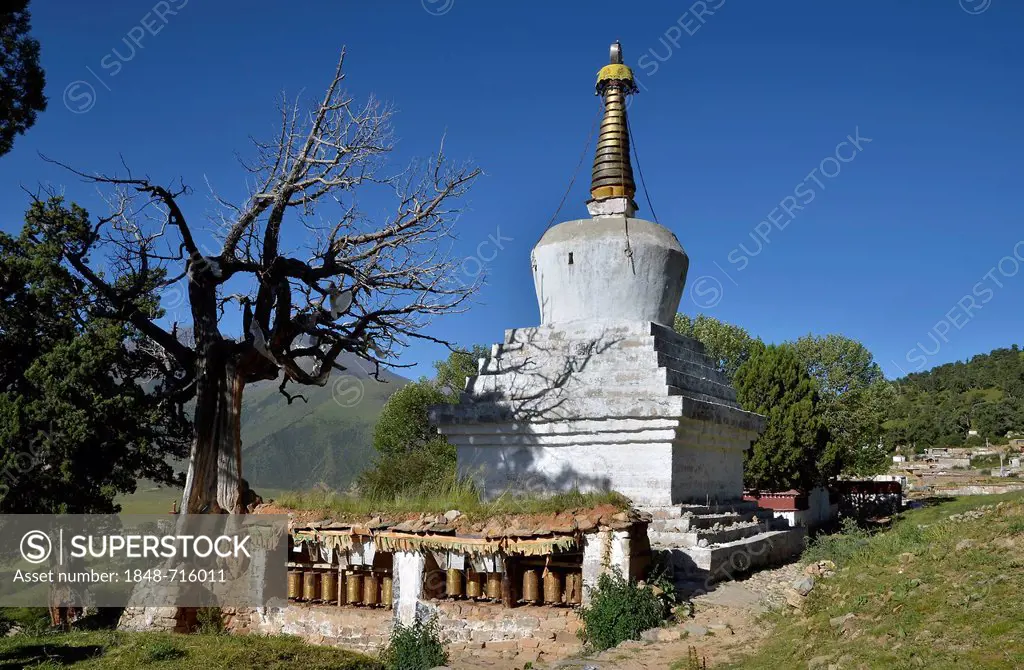 Tibetan Buddhism, centuries-old juniper trees and stupa, chorten in the mountains of Reting Monastery, Mount Gangi Rarwa, Himalayas, Lhundrup district...