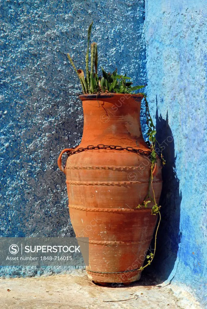 A flower pot in Kasbah des Oudaias, the old part of Rabat, Morocco, Africa