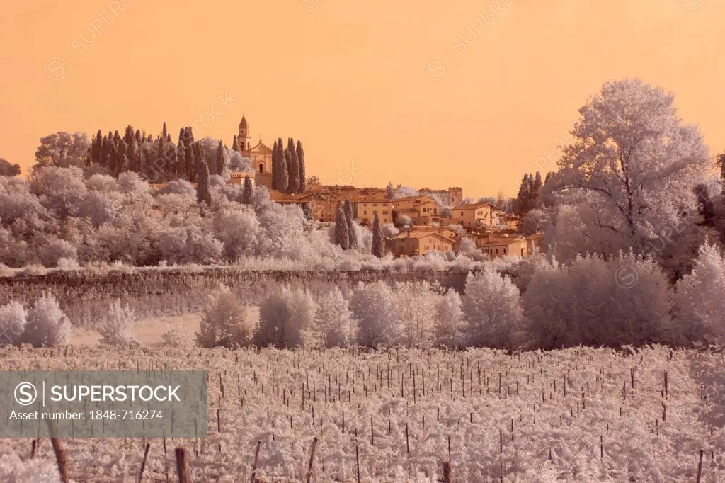 Bussolengo, infrared effect, near Verona, Italy, Europe