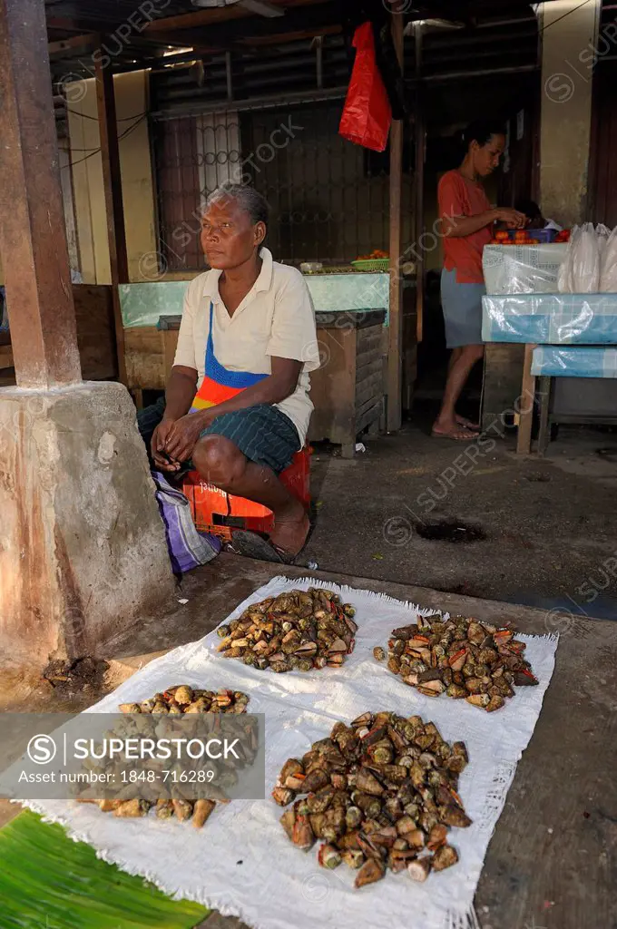 Marine snails for sale at the fish market in Kota Biak, Biak Island, Irian Jaya, Indonesia, Southeast Asia, Asia