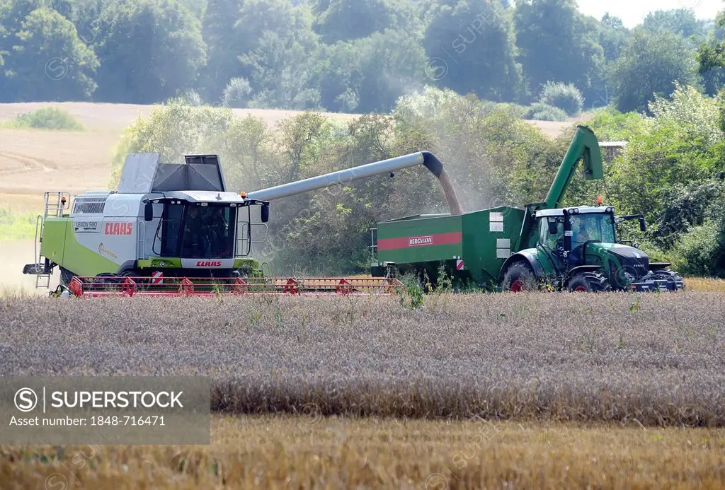 Combine harvesters during the grain harvest, Dechow, Schalsee region, Mecklenburg-Western Pomerania, Germany, Europe