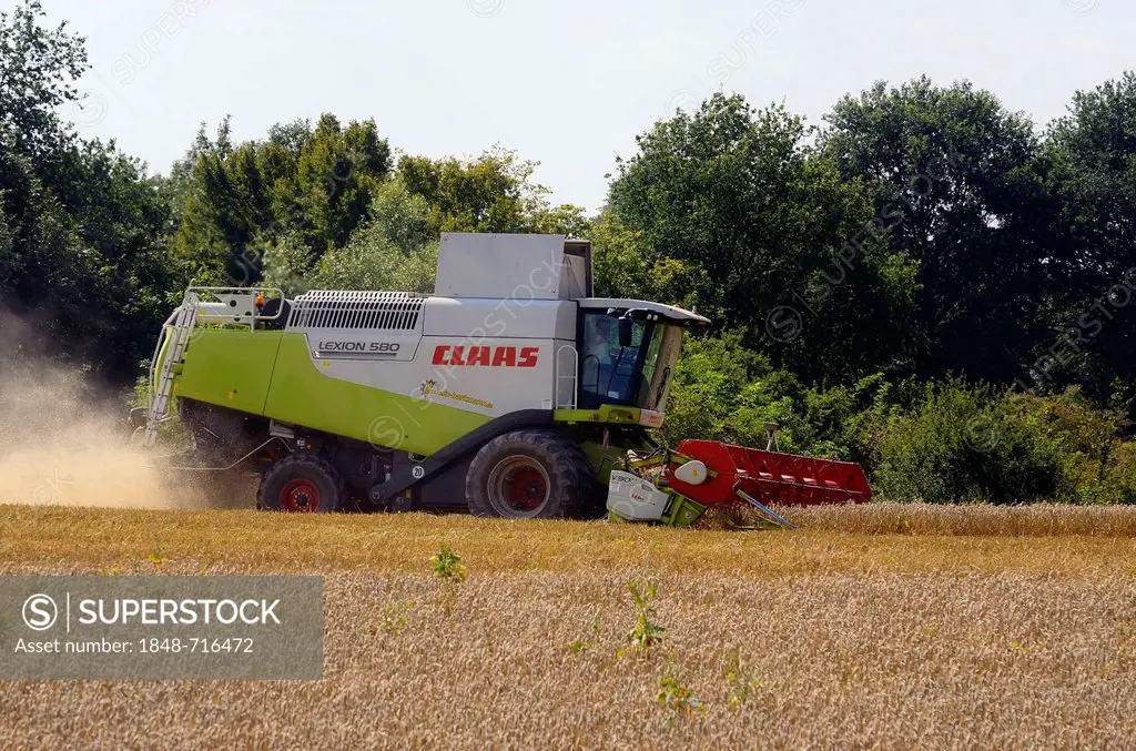 Combine harvester during the grain harvest, Dechow, Schalsee region, Mecklenburg-Western Pomerania, Germany, Europe