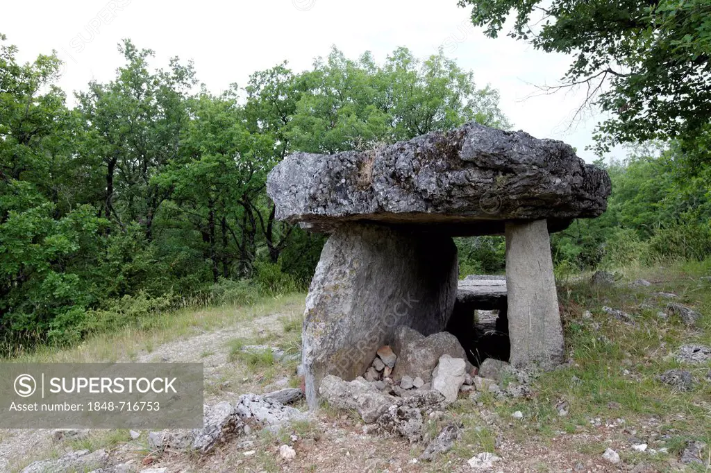 Dolmen of Ferrussac, Larzac, The Causses and the Cévennes, Mediterranean agro-pastoral Cultural Landscape, UNESCO World Heritage, Gard, France, Europe