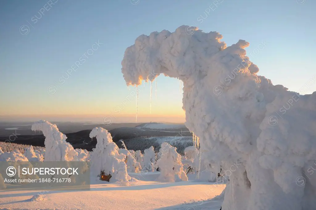 Snow-covered spruces on Brocken Mountain, Saxony-Anhalt, Germany, Europe
