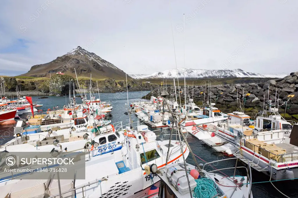 Basalt coast and the small fishing harbour of Arnarstapi, Iceland, Northern Europe, Europe