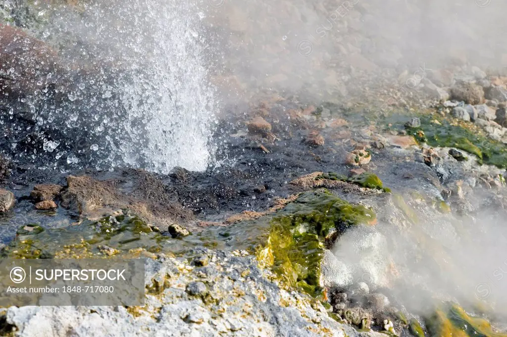 Detail of a hot spring with spray from the sparkling water and boiling steam, Iceland, Europe
