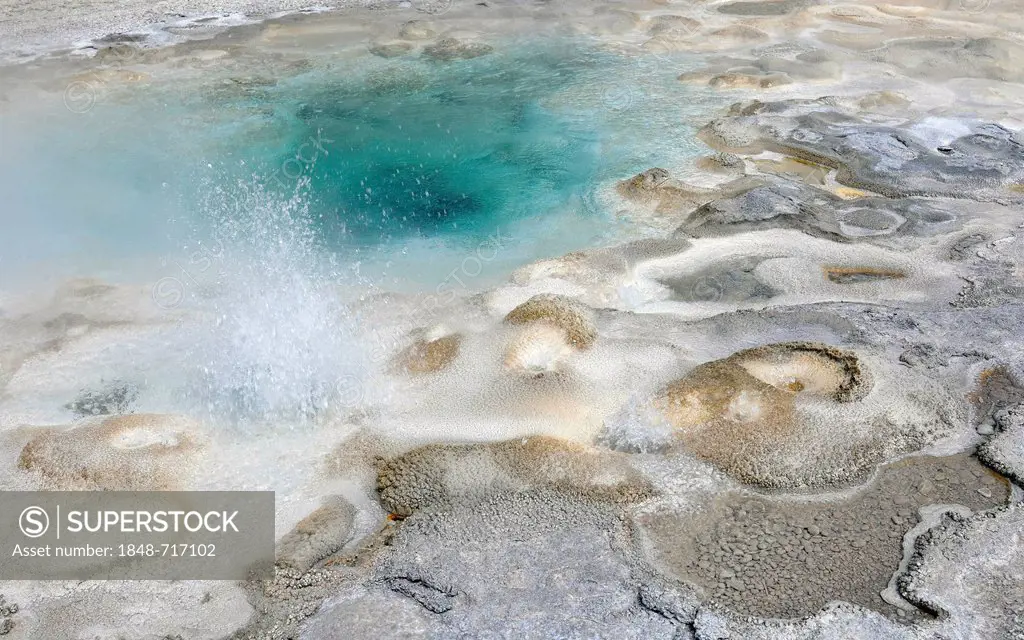 Spasmodic Geyser, Upper Geyser Basin, geysers, geothermal hot-pools, Yellowstone National Park, Wyoming, USA