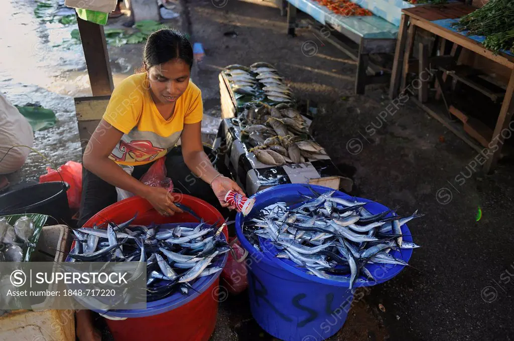 Papuan woman selling fish at the fish market in Biak, Kota Biak, Biak Island, Irian Jaya, Indonesia, Southeast Asia, Asia