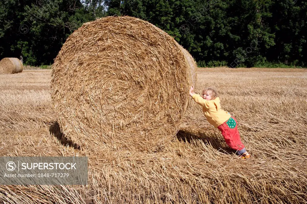 Little girl pushing a big straw bale, Saxony, Germany, Europe