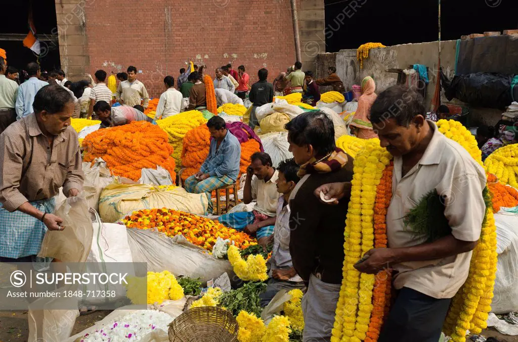 The 125-year Kolkata Flower Market, eastern India's largest flower market, Kolkata, West Bengal, India, Asia