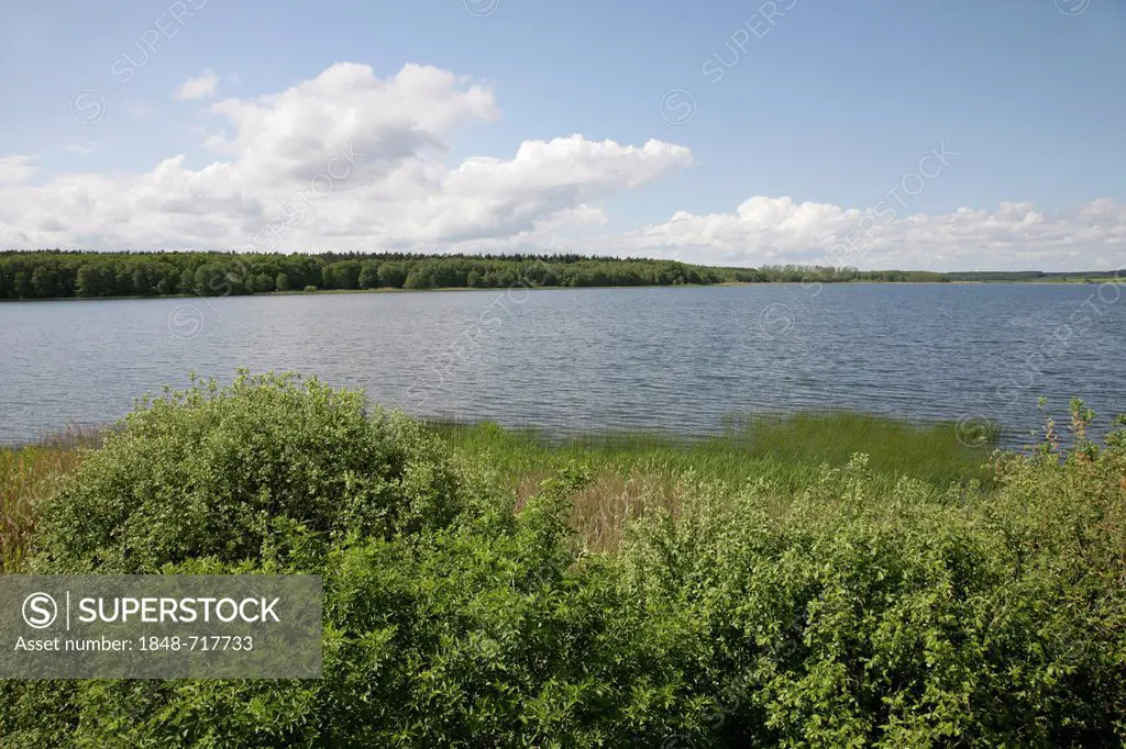 Krakower See Lake near the climatic spa of Krakow am See, Mecklenburg Lake District, Mecklenburg-Western Pomerania, Germany, Europe
