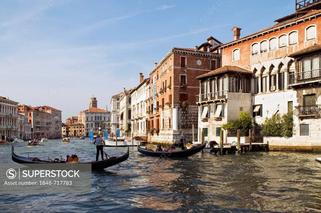 Gondolas on the Grand Canal in front of historic buildings, Venice, Veneto, Italy, Europe