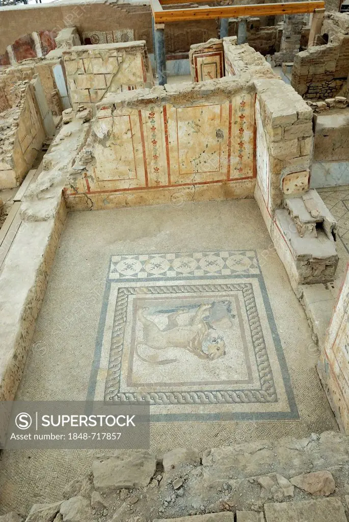 Mosaics, murals and frescoes in Terrace House 2 in Curetes Street, terraced houses, excavations, ruins of Ephesus, Efes, UNESCO World Heritage Site, S...