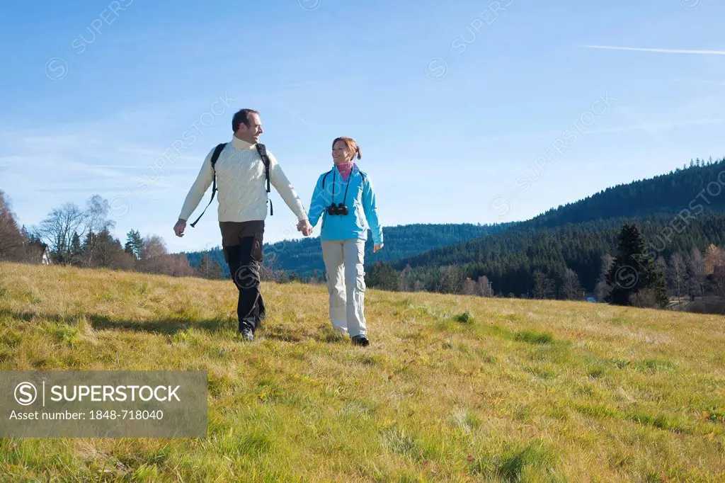 Couple hiking on a meadow, Black Forest, Baden-Wuerttemberg, Germany, Europe