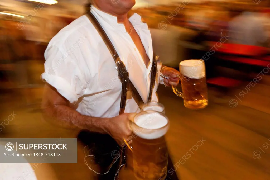 Hurried waiter carrying beer mugs during the opening of the cattle drive in Pfronten, Ostallgaeu, Allgaeu, Bavaria, Germany, Europe