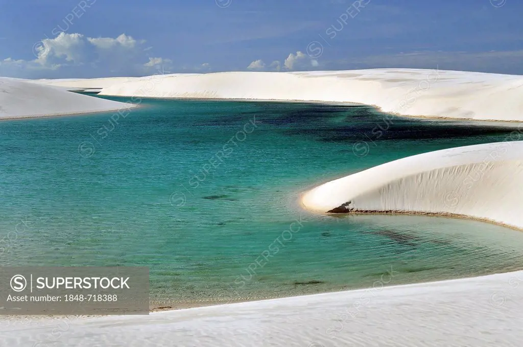 Crystal-clear lagoon in the desert of Lençóis Maranhenses, Maranhío, Brazil, South America