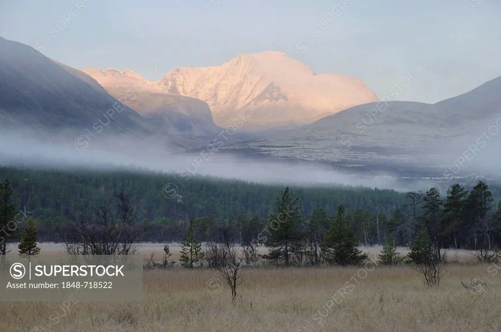 Marshy landscape at the foot of the Rondane Mountains, Rondane National Park, Norway, Europe