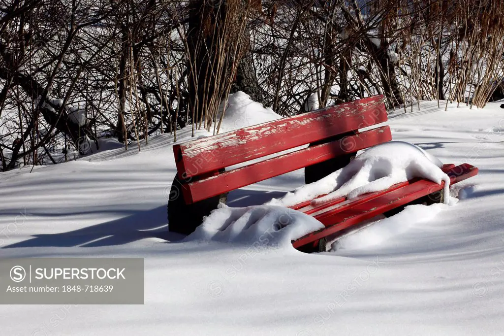 Red bench in the snow