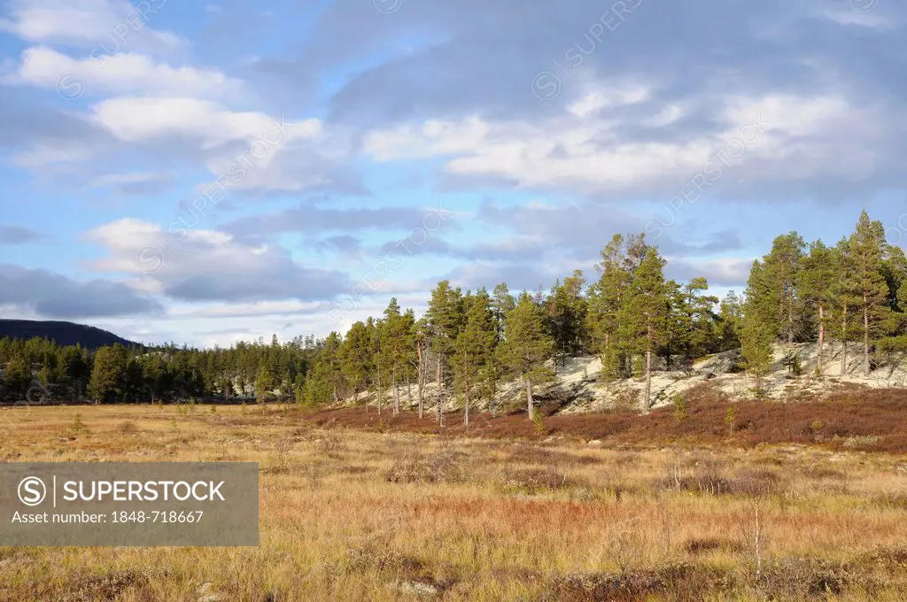 Landscape in Rondane National Park, Norway, Europe
