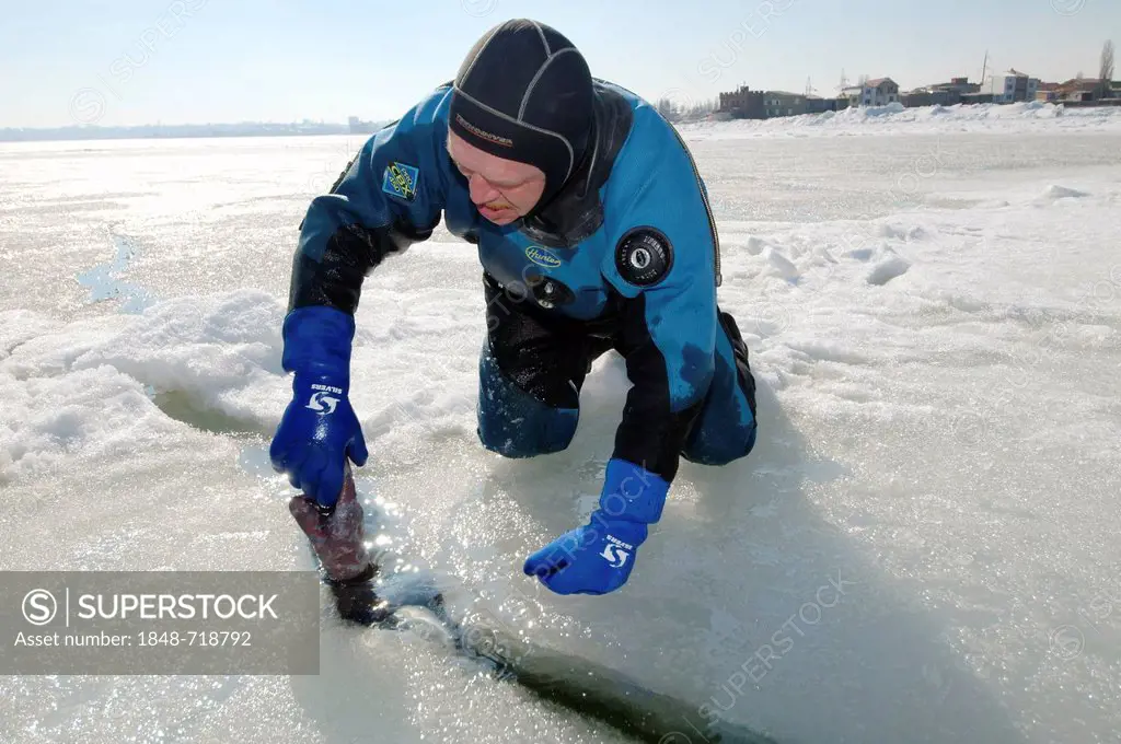 Preparations for subglacial diving, ice diving in the frozen Black Sea, a rare phenomenon which last occured in 1977, Odessa, Ukraine, Eastern Europe