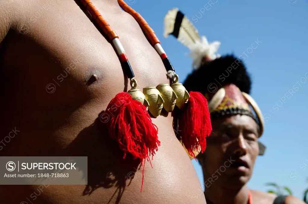 Detail of the dresses of the Konyak tribe at the Hornbill Festival, Kohima, Nagaland, India, Asia