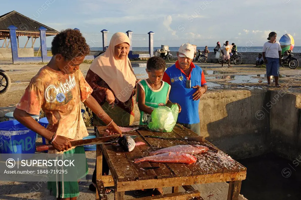 Children gutting fish with a machete for a Muslim customer wearing a headscarf, fish market in Kota Biak, Biak Island, West Papua, Indonesia, Southeas...