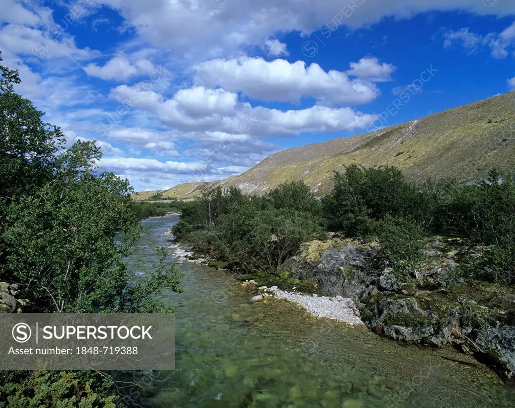 The Atna river in the Dørålen, Doralen Valley, Rondane National Park, Norway, Scandinavia, Europe
