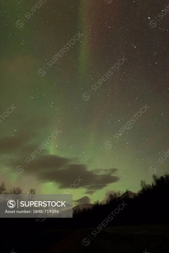 View of the Northern Lights, aurora borealis, on the road northeast of Seljelvenes, near Baksfjord, in the Troms region of northern Norway, Europe