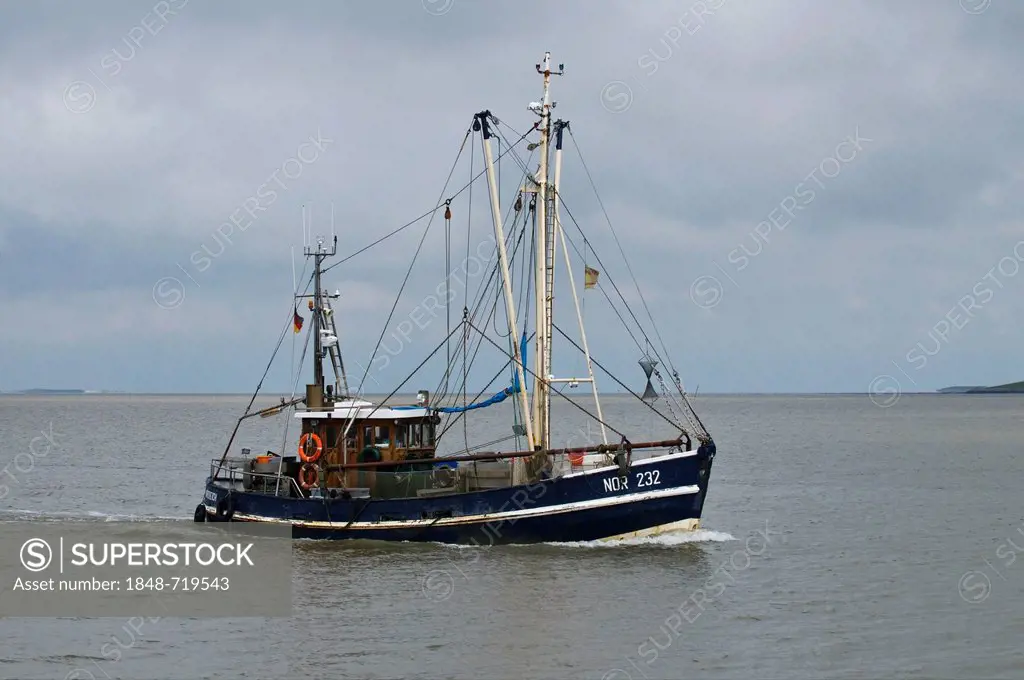 Shrimp boat Nordstrand, NOR 232, on travelling in the Wadden Sea, UNESCO World Heritage Site, East Frisia, Lower Saxony, Germany, Europe
