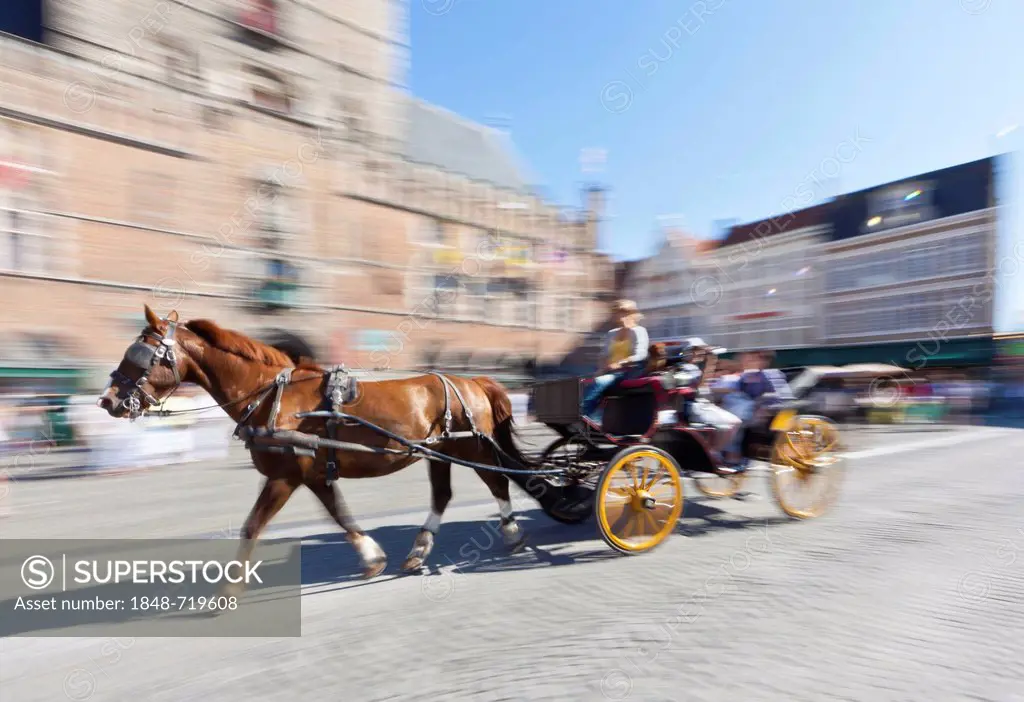 Horse-drawn carriage passing the Belfort belfry or bell tower, Grote Markt market square, historic town centre of Bruges, UNESCO World Heritage Site, ...