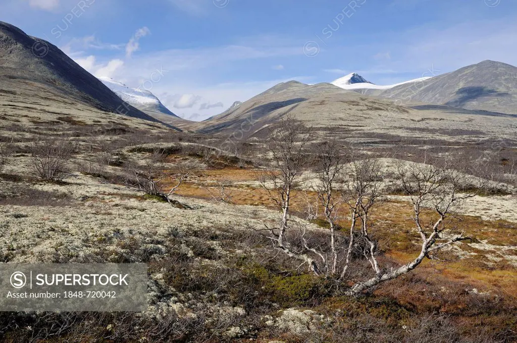 Fjell landscape in front of snow covered mountains in Rondane National Park, Norway, Europe