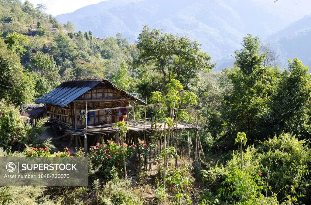 Typical house of the Nishi tribe, Tago village, Arunachal Pradesh, India, Asia