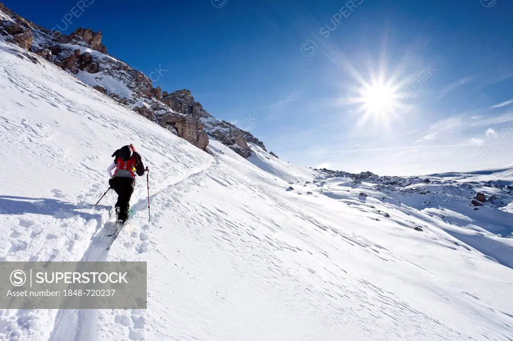 Cross-country skier ascending Zendleser Kofel Mountain in the Villnoess Valley above Zanser Alm alpine pasture, Alto Adige, Italy, Europe
