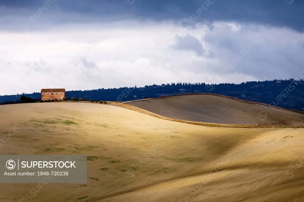 Fields below Pienza, overlooking the hills of Pienza, Tuscany, Italy, Europe