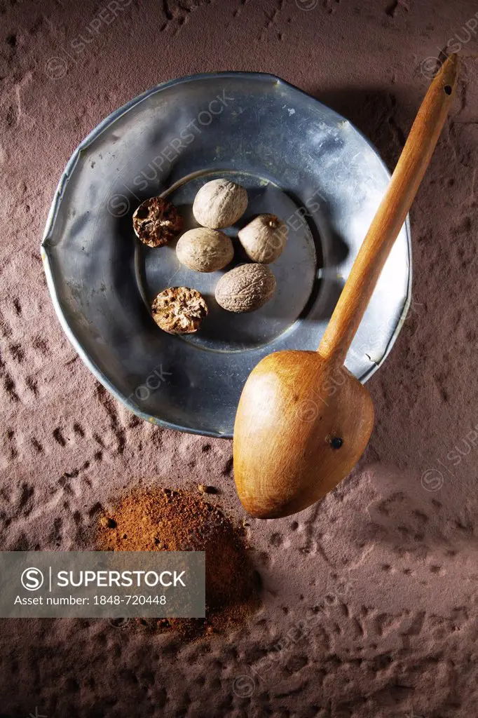 Nutmegs (Myristica fragrans), on a metal plate with a wooden spoon and ground nutmeg on a rustic stone base