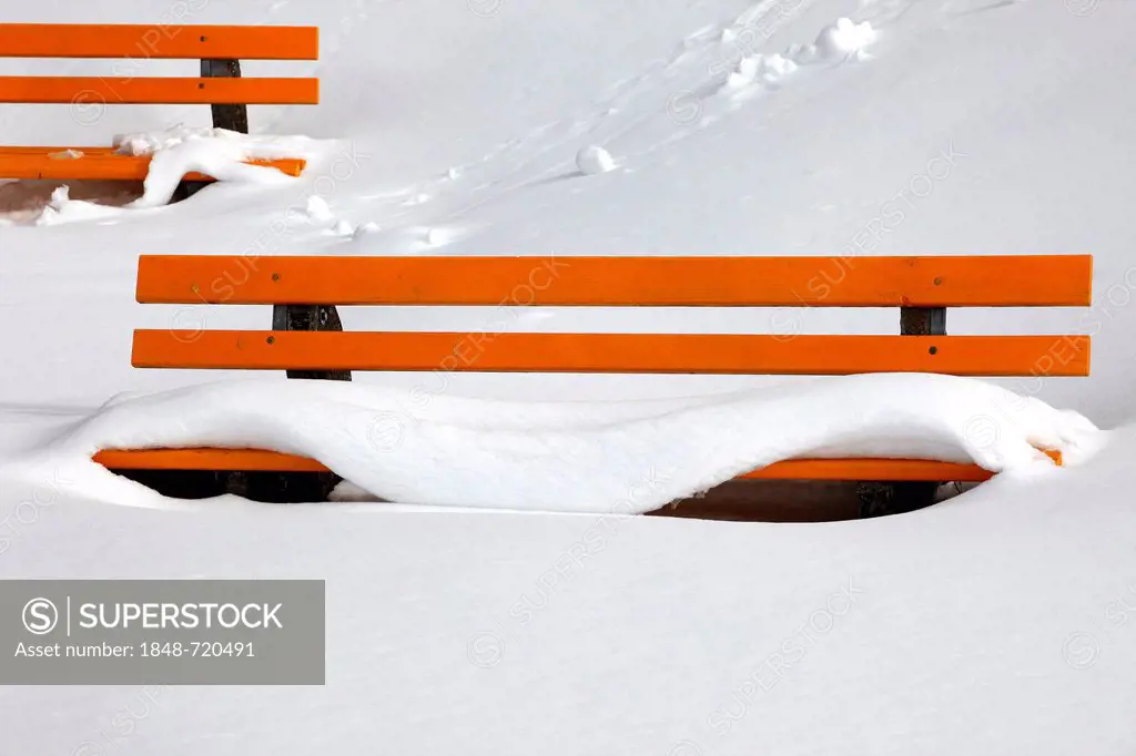 Orange benches in the snow
