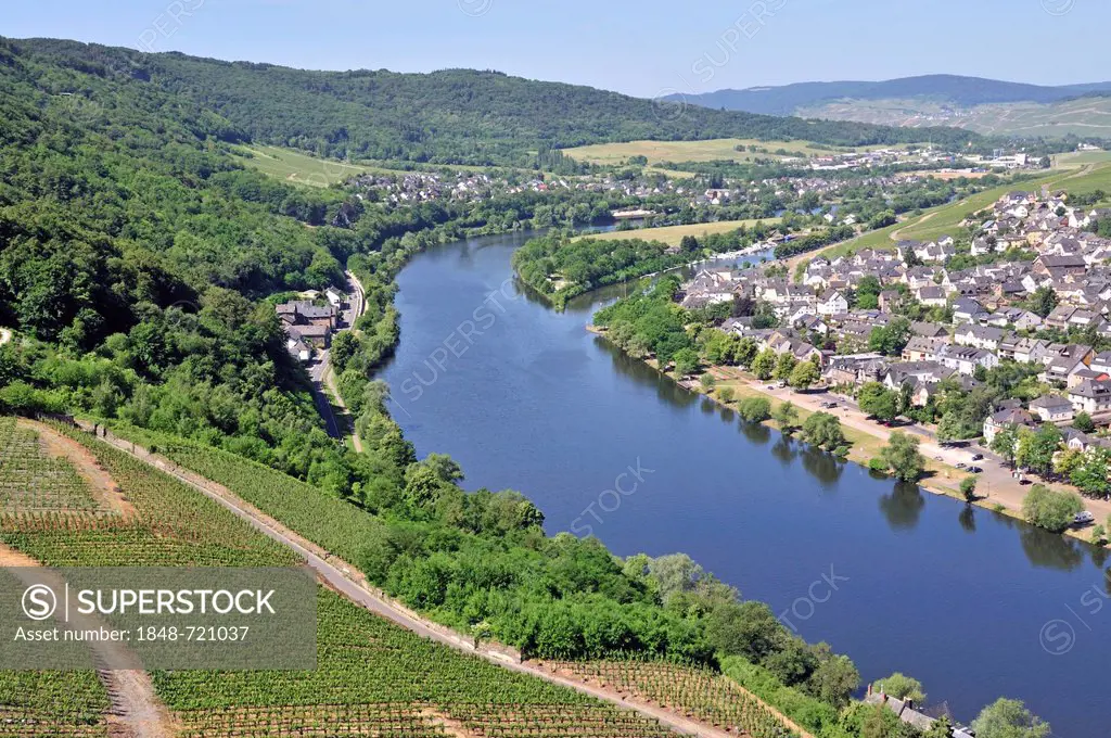 District of Kues, Bernkastel-Kues, Moselle River, Rhineland-Palatinate, Germany, Europe, PublicGround