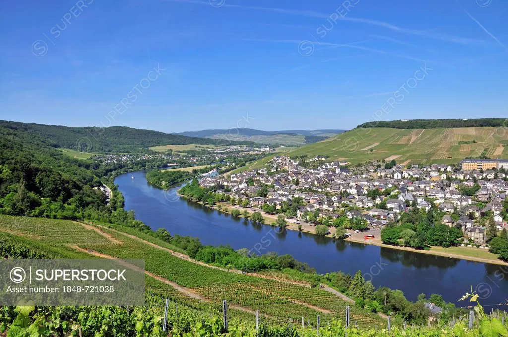 District of Kues, Bernkastel-Kues, Moselle River, Rhineland-Palatinate, Germany, Europe, PublicGround