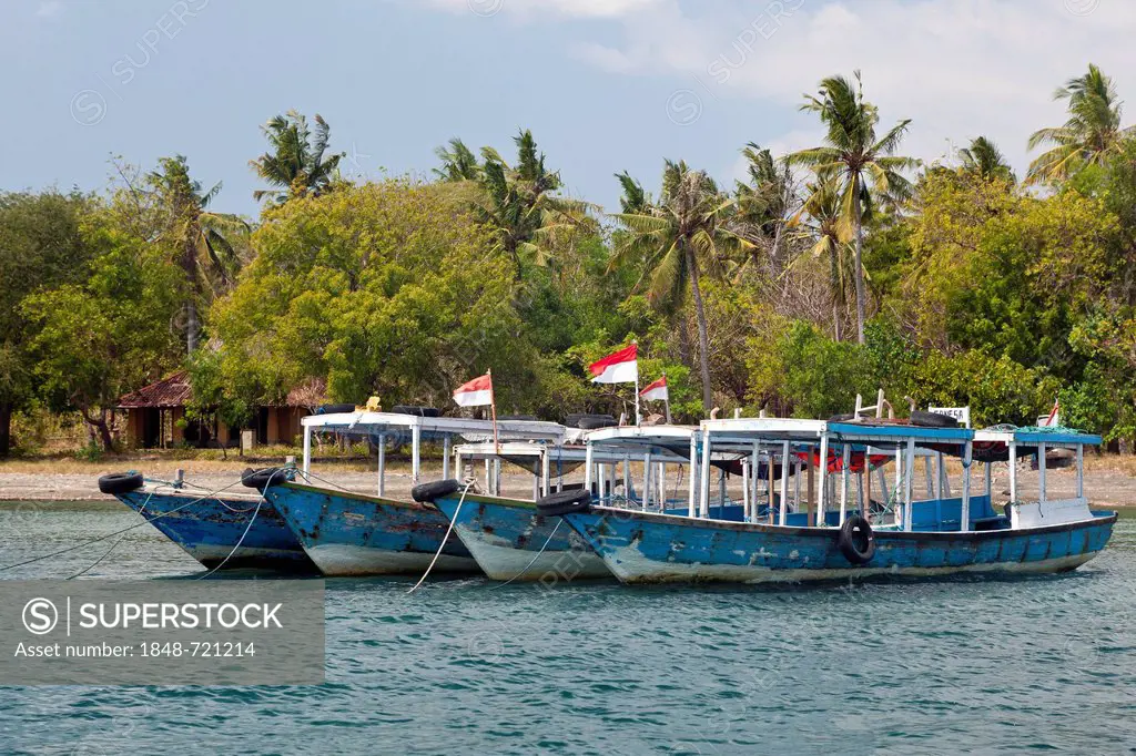Excursion boats in the harbor of Labuhan Lalang, the starting point to Menjangan Island, West Bali, Bali, Indonesia, Southeast Asia, Asia